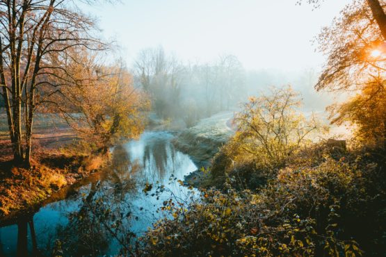 Early Morning Hike