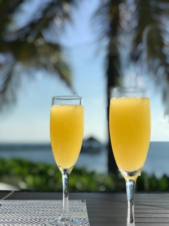 Morning Mimosa