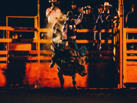 The Rodeo